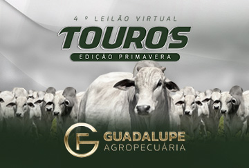 4º LEILÃO VIRTUAL TOUROS GUADALUPE - EDIÇÃO PRIMAVERA